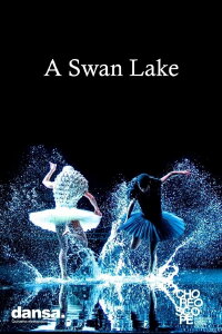 A Swan Lake (2014)