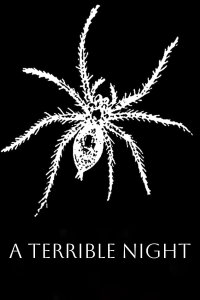 A Terrible Night (1896)