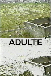 Adulte (1998)
