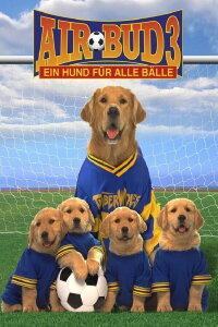 Air Bud 3 - Ein Hund für alle Bälle (2001)
