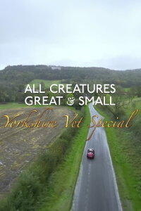 All Creatures Great and Small Meets The Yorkshire Vet (2023)
