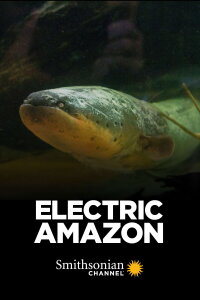 Amazonas - Fische unter Strom (2015)