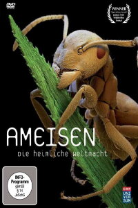 Ameisen - Die heimliche Weltmacht (2004)