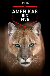 Amerikas Big Five (2012)