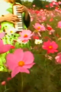 An Acid Field (2007)