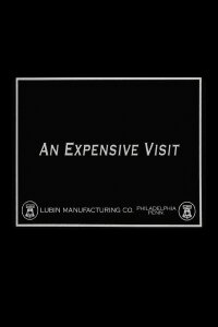 An Expensive Visit (1915)