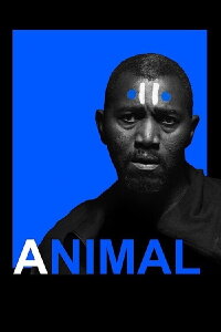 Animal (2017)