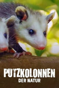Animaux nettoyeurs. Les alliés de la nature (2020)