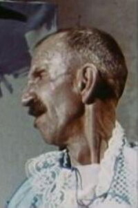 Antonio Ligabue, pittore (1965)
