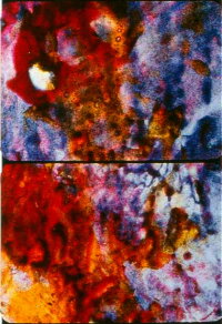 Ascension (2002)