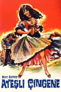 Ateşli Çingene (1969)