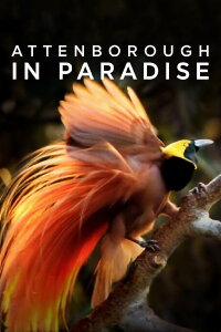 Attenborough in Paradise (1996)