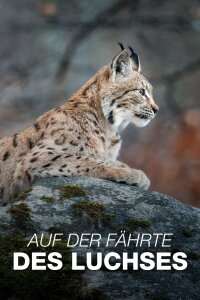 Auf der Fährte des Luchses (2023)