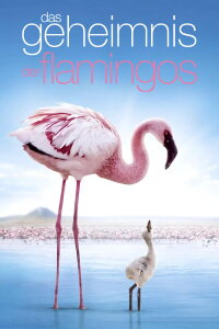 Auf purpurnen Schwingen: Das Geheimnis der Flamingos (2008)
