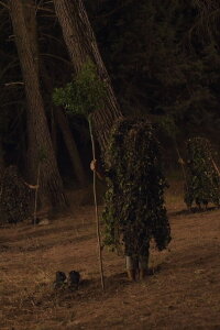 Autotrofia (2020)