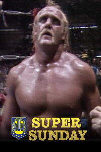 AWA Super Sunday (1983)