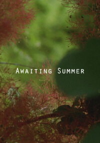 Awaiting Summer (2016)