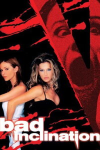 Bad Inclination (2003)