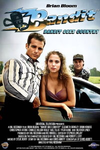 Bandit: Ein ausgekochtes Schlitzohr startet durch (1994)
