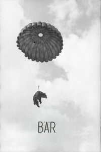 Bär (2015)