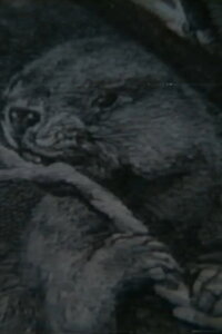 Beaver Report (1979)