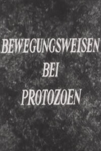 Bewegungsweisen bei Protozoen (1952)