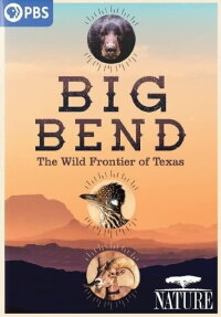 Big Bend - Amerikas wildeste Grenze (2021)