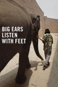 Big Ears Listen With Feet (2022)