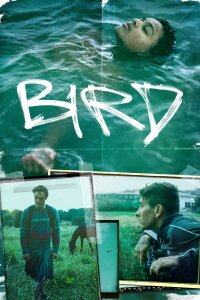 Bird (2024)