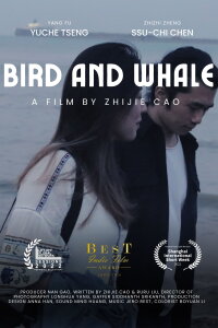 Bird and Whale (2021)