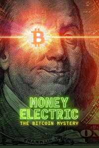 Bitcoin: Das Rätsel um die Kryptowährung (2024)