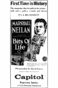 Bits of Life (1921)