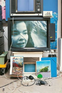 Björk: Vessel 1994 (1994)