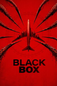 Black Box (Flight 298) (2026)