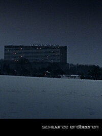 Black Strawberries (2005)