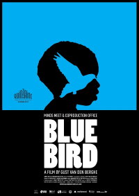 Blue Bird (2011)