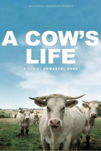 Bovines (2012)