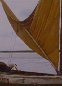 Brazil 84 (1984)