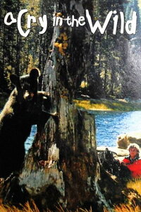 Brian - Allein in der Wildnis (1990)