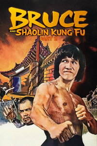 Bruce and Shaolin Kung Fu 2 (1978)