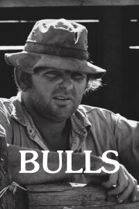 Bulls (2008)