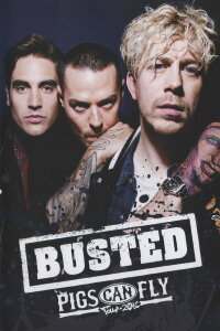 Busted: Pigs Can Fly Tour 2016 (2018)