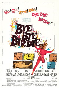 Bye Bye Birdie (1963)