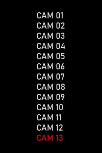 CAM 13 (2023)