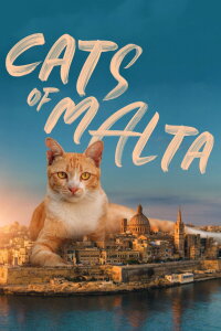 Cats of Malta (2022)