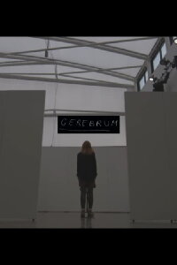 Cerebrum (2020)