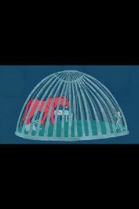 Chilli (2017)