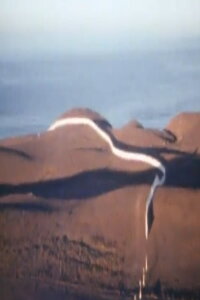 Christo Running Fence Reels (1976)