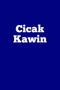 Cicak Kawin (2020)