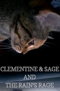 Clementine & Sage and The Rain's Rage (2024)